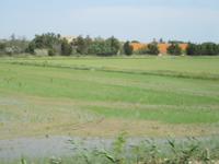 Camargue &ndash; &copy; Barbara Mihut (Eberhardt TRAVEL)