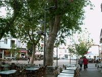 Arles