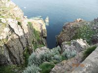 Cap Fréhel &ndash; &copy; Claudia Kurzweg (Eberhardt TRAVEL)