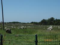 Carnac &ndash; &copy; Claudia Kurzweg (Eberhardt TRAVEL)