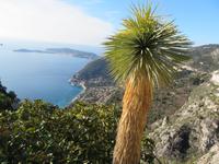 Blick von Eze &ndash; &copy; Jürgen Schmeißer (Eberhardt TRAVEL)