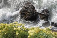 IMG_1684_An der Nordostkueste von Jersey &ndash; &copy; Alice Teipelke (Eberhardt TRAVEL)