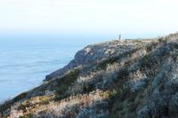 IMG_1732_Landschaft am Cap Fréhel &ndash; &copy; Alice Teipelke (Eberhardt TRAVEL)