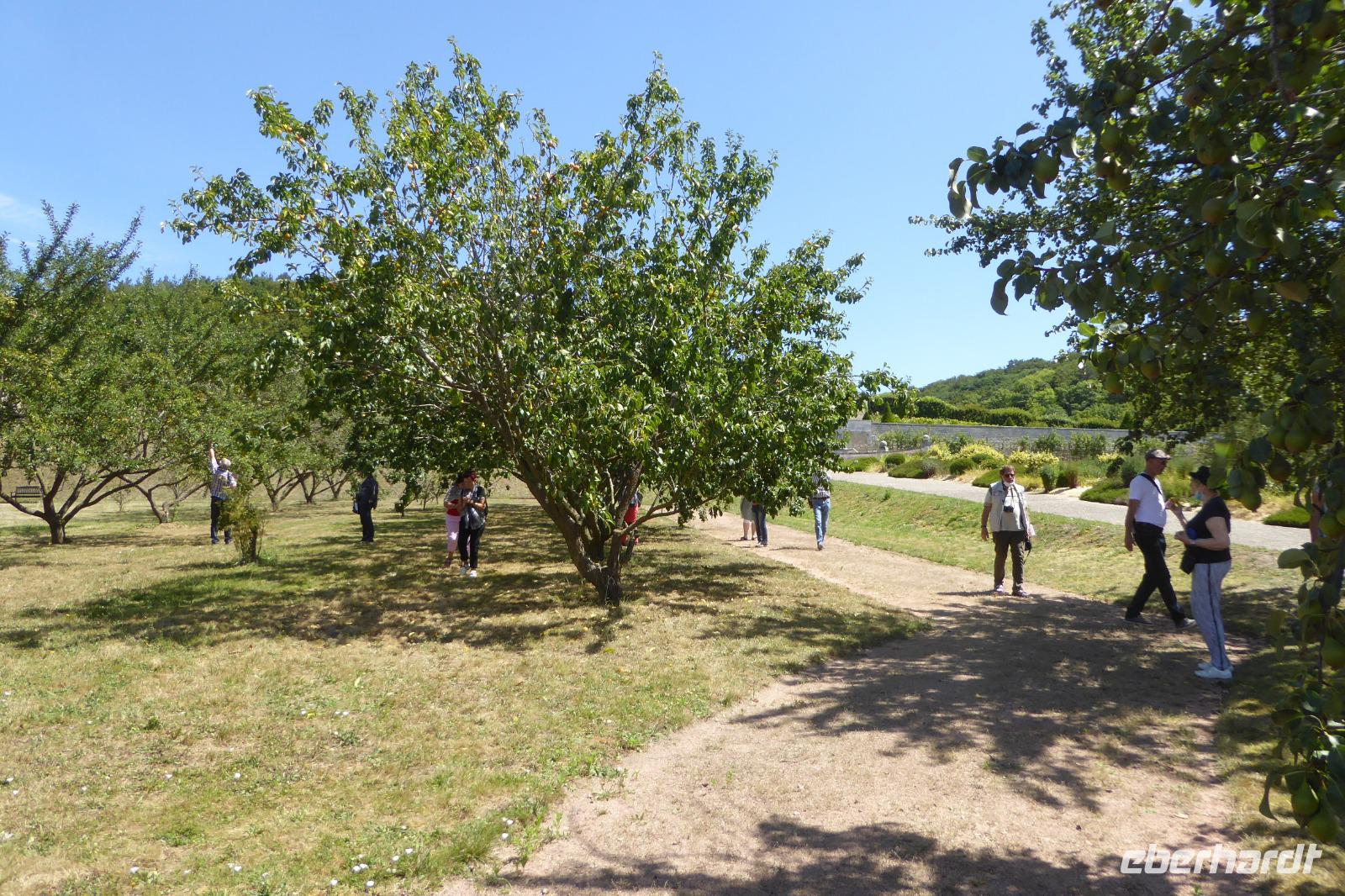 Tag 3 St. Martin de Boscherville  &ndash; &copy; Gabriele Sauer (Eberhardt TRAVEL)