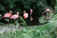 Tag 8 Zoo von Champrepus &ndash; &copy; Gabriele Sauer (Eberhardt TRAVEL)