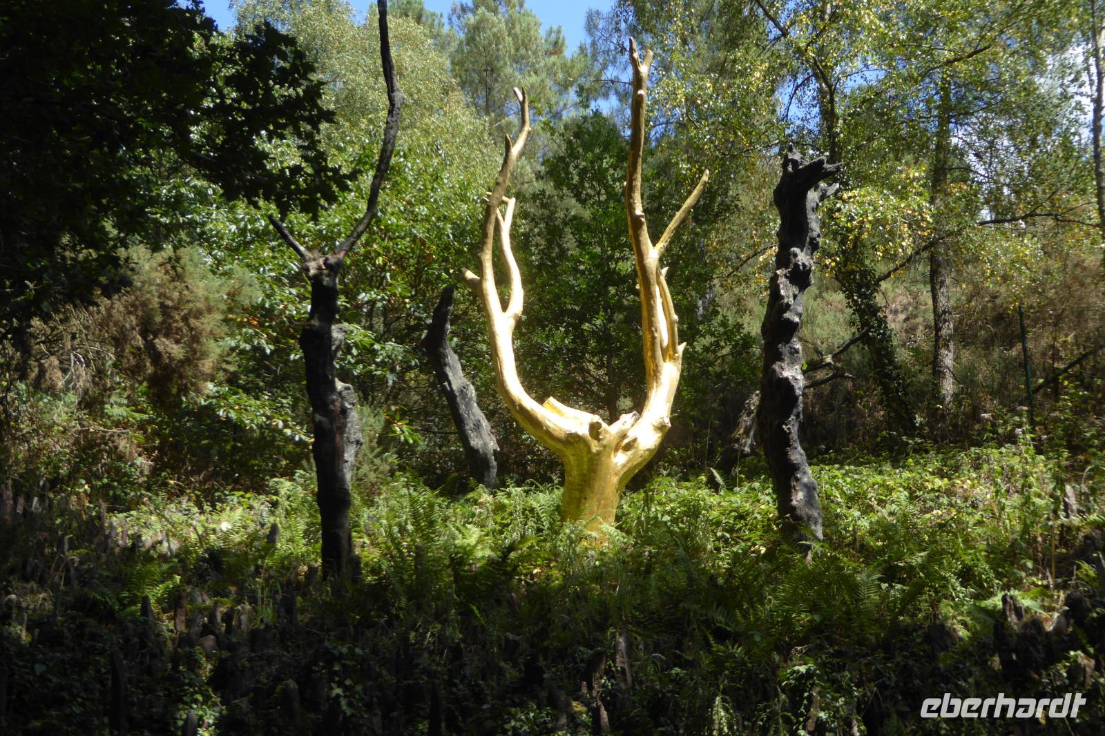 Tag 3 Im Wald von Broceliande  &ndash; &copy; Gabriele Sauer (Eberhardt TRAVEL)