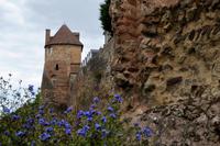 Tag 2 Le Mans  &ndash; &copy; Gabriele Sauer (Eberhardt TRAVEL)