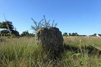 Tag 4 Carnac   &ndash; &copy; Gabriele Sauer (Eberhardt TRAVEL)