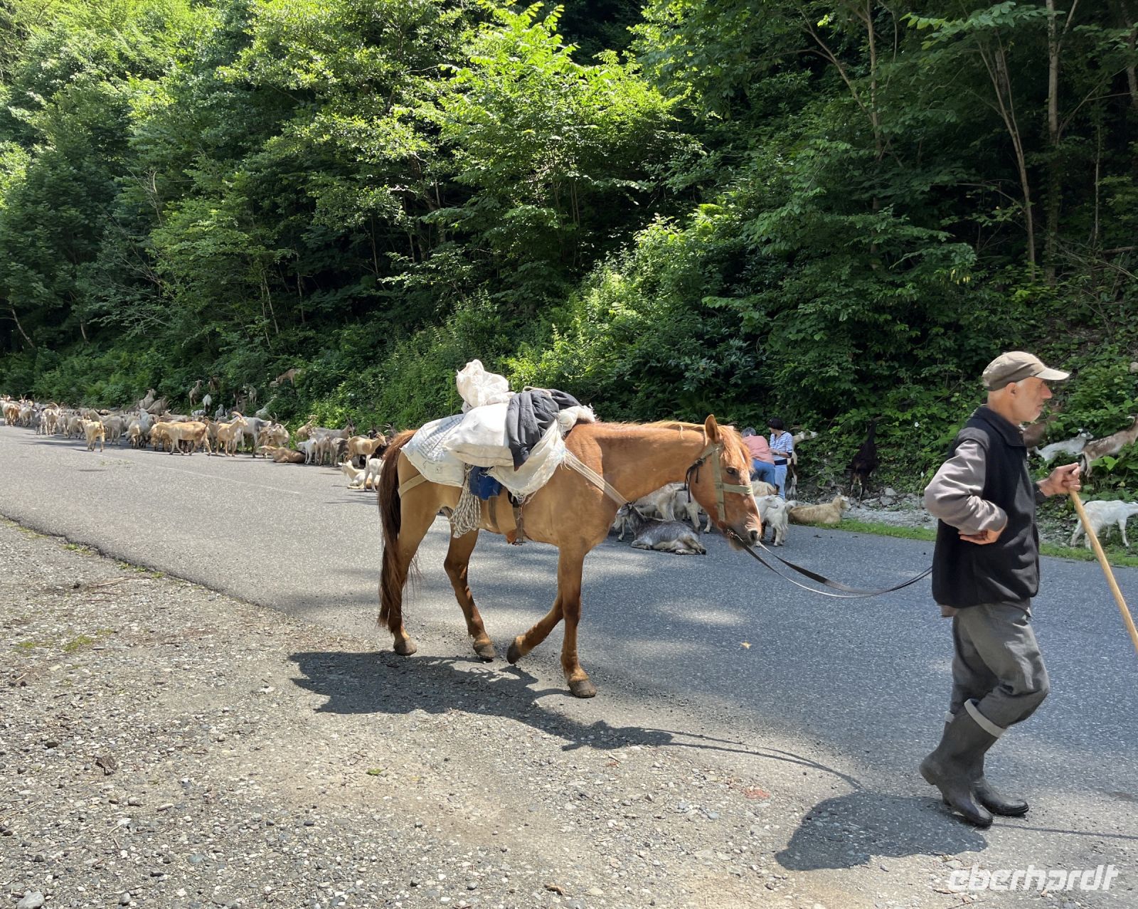 Hirte, Georgien &ndash; &copy; Maria Feibig (Eberhardt TRAVEL)
