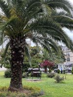 Batumi, Georgien &ndash; &copy; Maria Feibig (Eberhardt TRAVEL)