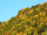Herbst &ndash; &copy; Sabine Letzybyll (Eberhardt TRAVEL)