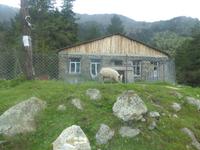 Schwein gehabt :-) &ndash; &copy; Sabine Letzybyll (Eberhardt TRAVEL)