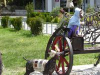 Tbilissi &ndash; &copy; Sabine Letzybyll (Eberhardt TRAVEL)