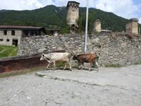 Alltag &ndash; &copy; Sabine Letzybyll (Eberhardt TRAVEL)