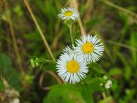 im Kauskasus &ndash; &copy; Sabine Letzybyll (Eberhardt TRAVEL)