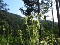im Kauskasus &ndash; &copy; Sabine Letzybyll (Eberhardt TRAVEL)