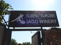 Iagos Weingut &ndash; &copy; Sabine Letzybyll (Eberhardt TRAVEL)