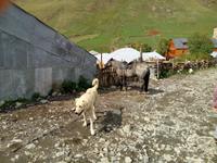 P70924-133510 &ndash; &copy; Ksenia Parfenova (Eberhardt TRAVEL)