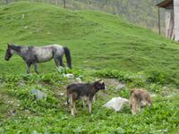 Ushguli &ndash; &copy; Sabine Letzybyll (Eberhardt TRAVEL)