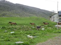 Ushguli &ndash; &copy; Sabine Letzybyll (Eberhardt TRAVEL)