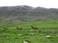 Ushguli &ndash; &copy; Sabine Letzybyll (Eberhardt TRAVEL)