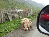 Ushguli &ndash; &copy; Sabine Letzybyll (Eberhardt TRAVEL)