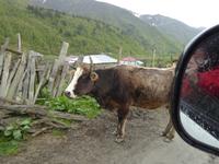 Ushguli &ndash; &copy; Sabine Letzybyll (Eberhardt TRAVEL)