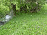 Blumenwiese &ndash; &copy; Sabine Letzybyll (Eberhardt TRAVEL)