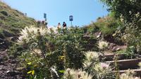 Wanderung zur Gergeti Kirche &ndash; &copy; Cornelia Ritter (Eberhardt TRAVEL)