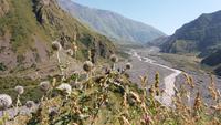 Darial-Schlucht &ndash; &copy; Cornelia Ritter (Eberhardt TRAVEL)
