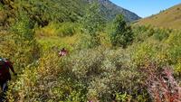 Georgien, Wanderung Adishi - Khalde &ndash; &copy; Ria Heilmann (Eberhardt TRAVEL)