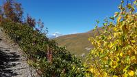 Georgien, Wanderung Adishi - Khalde &ndash; &copy; Ria Heilmann (Eberhardt TRAVEL)