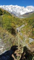 Georgien, Wanderung Adishi - Khalde &ndash; &copy; Ria Heilmann (Eberhardt TRAVEL)