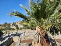 Gortys &ndash; &copy; Katrin Deutschbein (Eberhardt TRAVEL)