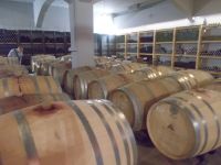 DSCN5798.JPG     Weinkeller &ndash; &copy; Kerstin Veit (Eberhardt TRAVEL)