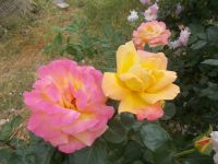DSCN5817.JPG &ndash; &copy; Kerstin Veit (Eberhardt TRAVEL)