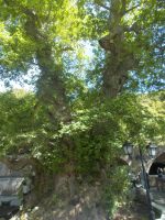 DSCN5944.JPG &ndash; &copy; Kerstin Veit (Eberhardt TRAVEL)