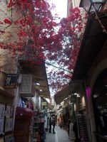DSCN7294.JPG    Rethymnon &ndash; &copy; Kerstin Veit (Eberhardt TRAVEL)