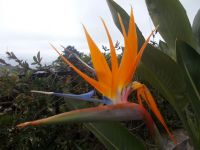 DSCN7306.JPG &ndash; &copy; Kerstin Veit (Eberhardt TRAVEL)