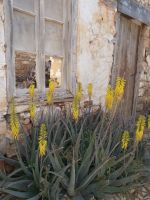 DSCN7357.JPG &ndash; &copy; Kerstin Veit (Eberhardt TRAVEL)
