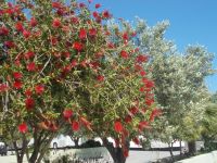 DSCN7384.JPG &ndash; &copy; Kerstin Veit (Eberhardt TRAVEL)