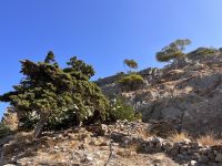 Insel Spinalonga (13) &ndash; &copy; Willi Thomas Krupp (Eberhardt TRAVEL)