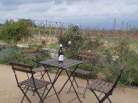 DSCN8985.JPG &ndash; &copy; Kerstin Veit (Eberhardt TRAVEL)