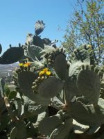 DSCN9036.JPG &ndash; &copy; Kerstin Veit (Eberhardt TRAVEL)