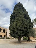 Kloster Arkadia (3) &ndash; &copy; Willi Thomas Krupp (Eberhardt TRAVEL)