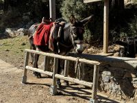 Lassithi-Hochebene (1) &ndash; &copy; Willi Thomas Krupp (Eberhardt TRAVEL)