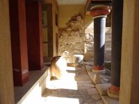 In den Palastruinen von Knossos &ndash; &copy; Ralf Mehnert (Eberhardt TRAVEL)