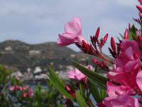 Impressionen