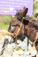 Kreta - Griechenland &ndash; &copy; Franziska Bergmann (Eberhardt TRAVEL)