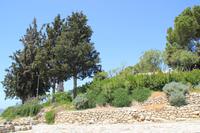 Kreta - Festos &ndash; &copy; Franziska Bergmann (Eberhardt TRAVEL)